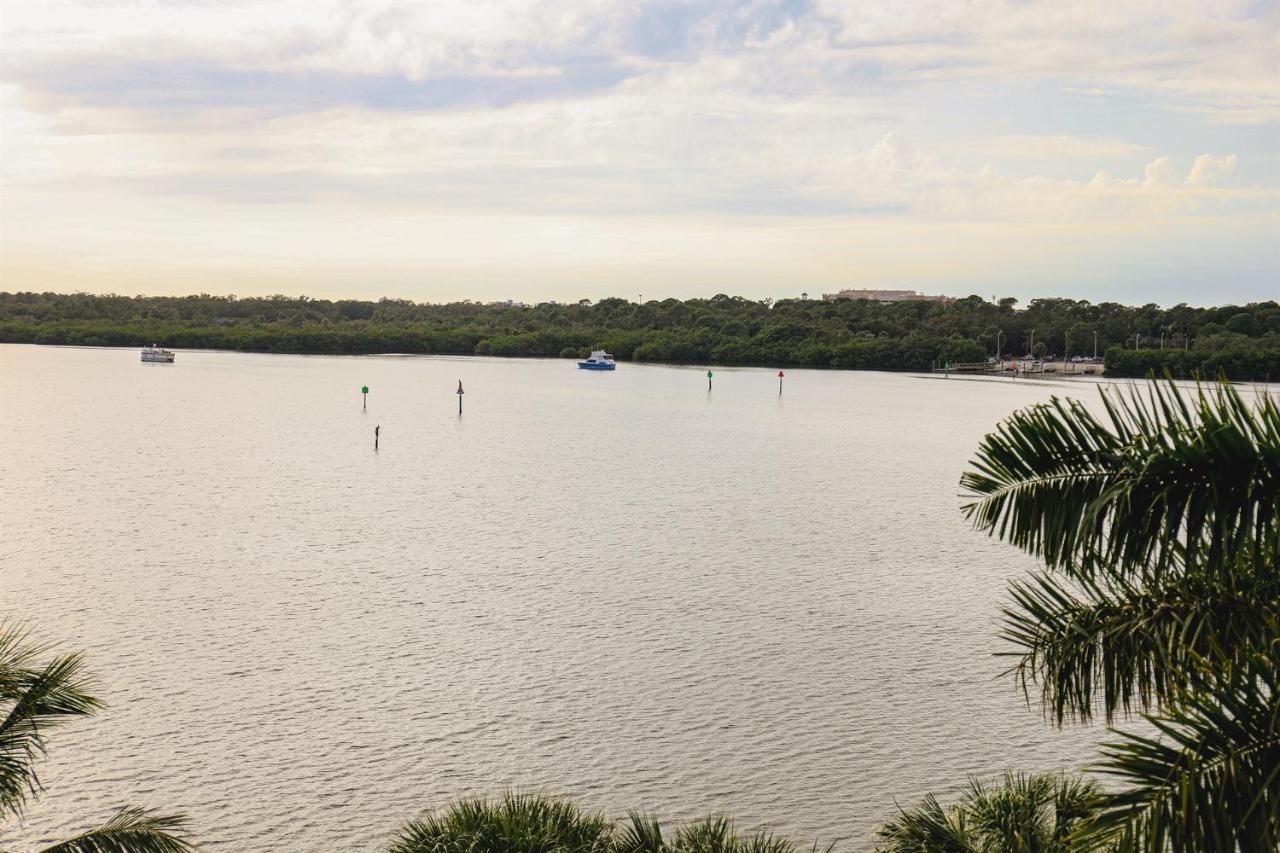 Dolphin Bay In Boca Ciega Resort - 2Br, Pool, Bay View San Petersburgo Exterior foto
